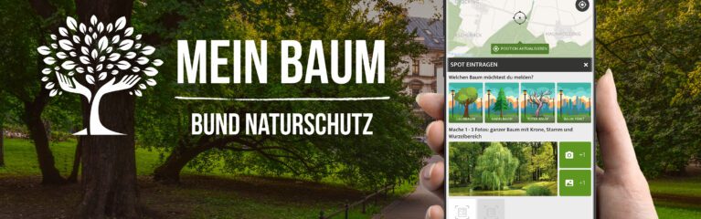 meinbaum appstore v2 teaser 3000px
