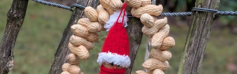 selbstgemachtes vogelfutter erdnussring