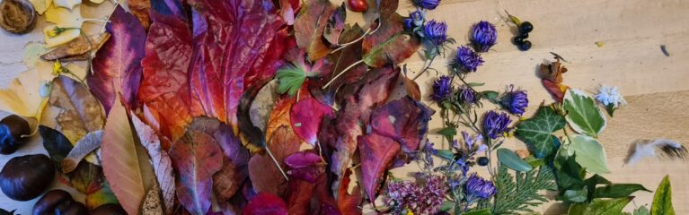 farben sammeln helge swars